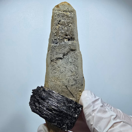 Rare Schorl Tourmaline, Skeletal Smoky Quartz Specimen Erongo, Namibia 97*40*31mm #12370