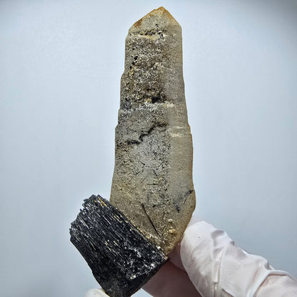 Rare Tourmaline Schorl, Fumé squelette Erongo, Namibie 97*40*31mm #12370