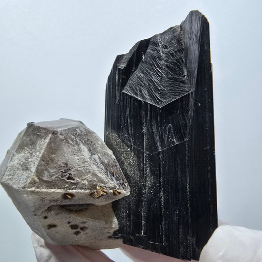 Rare Schorl Tourmaline, Smoky Quartz Specimen Erongo, Namibia 57*46*30mm #12372