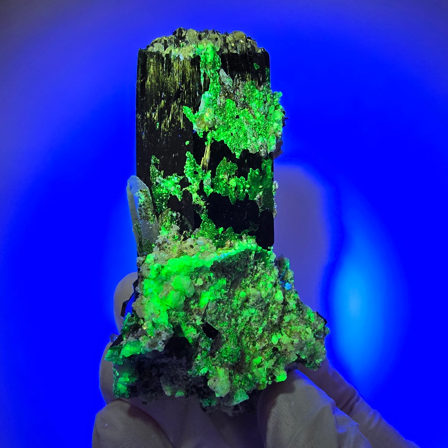 Schorl Tourmaline, Hyalite Opal, Smoky Quartz, Muscovite Specimen Erongo, Namibia 76*51*38mm #12378
