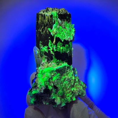 Schorl Tourmaline, Hyalite Opal, Smoky Quartz, Muscovite Specimen Erongo, Namibia 76*51*38mm #12378