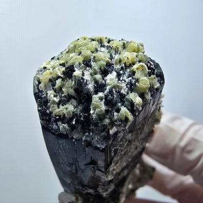 Schorl Tourmaline, Hyalite Opal, Smoky Quartz, Muscovite Specimen Erongo, Namibia 76*51*38mm #12378