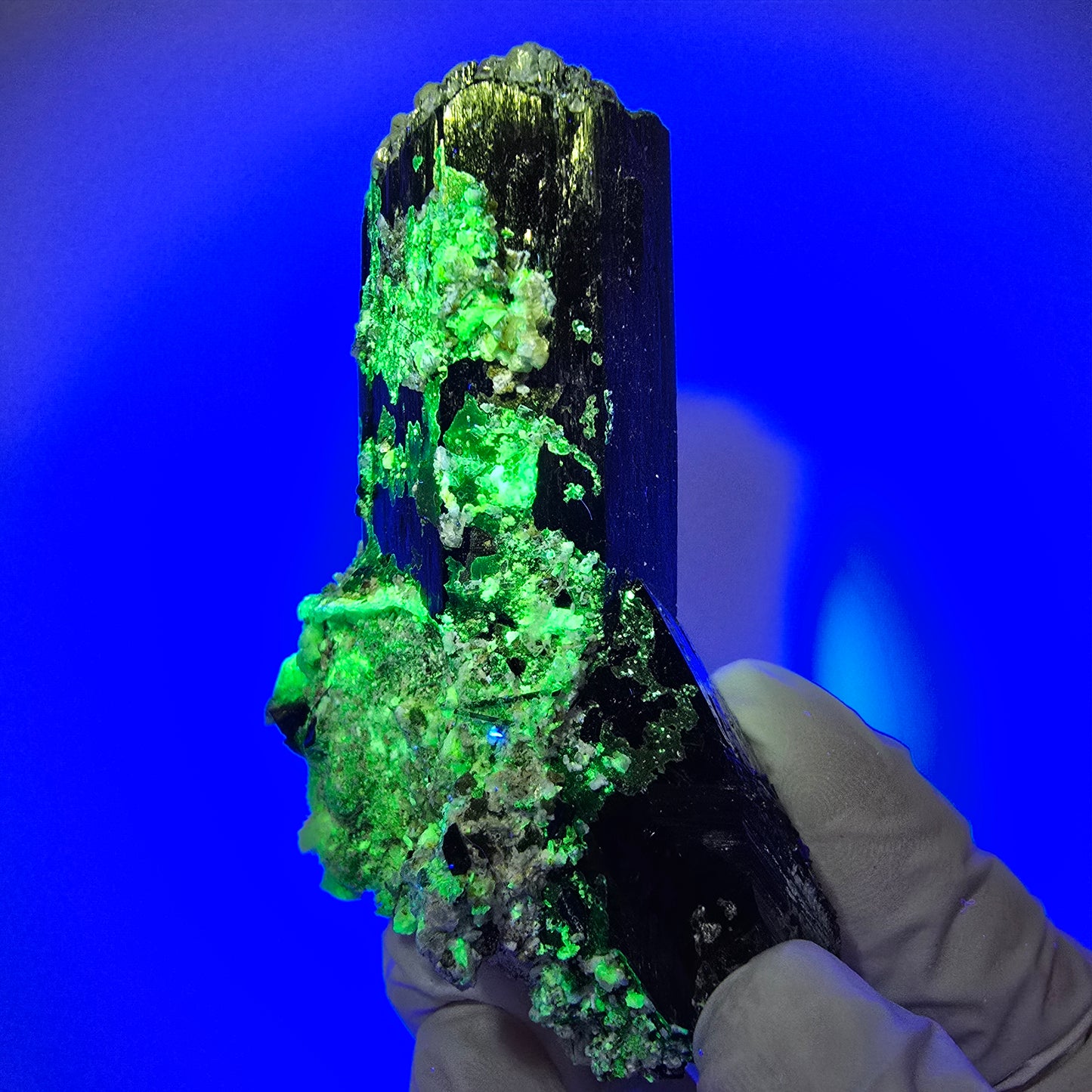 Schorl Tourmaline, Hyalite Opal, Smoky Quartz, Muscovite Specimen Erongo, Namibia 76*51*38mm #12378