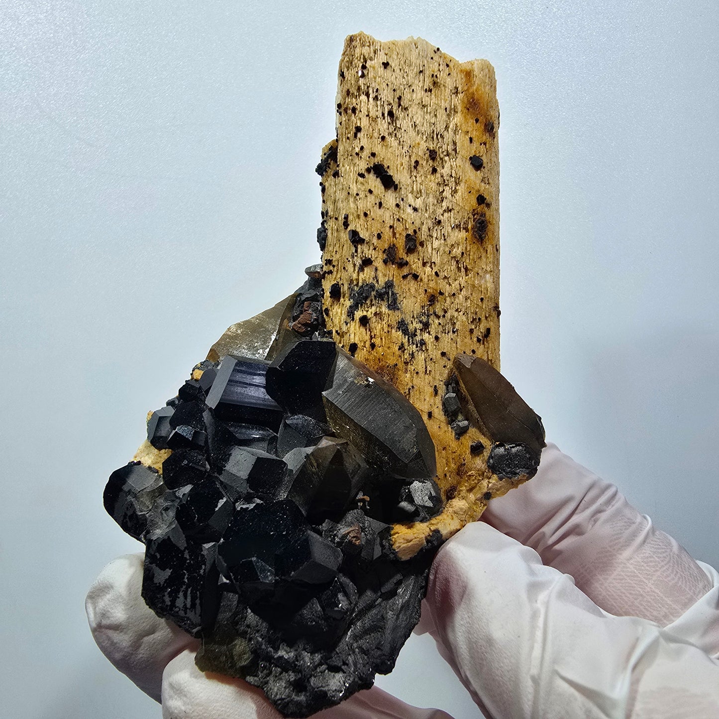 Rare Schorl Tourmaline, Smoky Quartz, Orthoclase Specimen Erongo, Namibia 84*56*42mm #12380