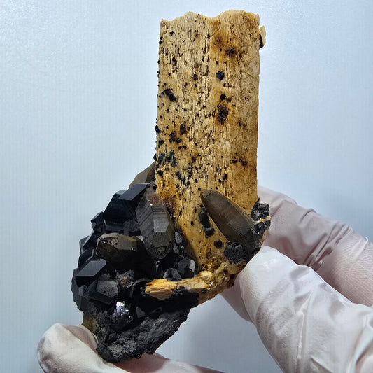 Rare Schorl Tourmaline, Smoky Quartz, Orthoclase Specimen Erongo, Namibia 84*56*42mm #12380