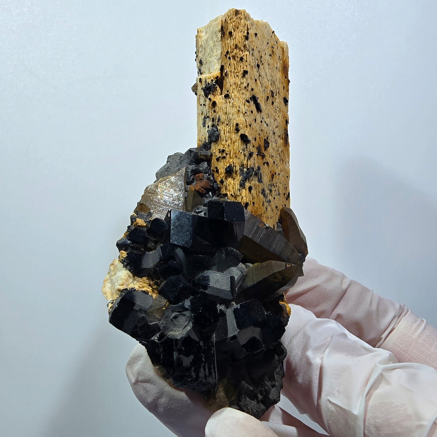 Rare Schorl Tourmaline, Smoky Quartz, Orthoclase Specimen Erongo, Namibia 84*56*42mm #12380