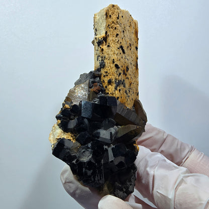 Rare Schorl Tourmaline, Smoky Quartz, Orthoclase Specimen Erongo, Namibia 84*56*42mm #12380