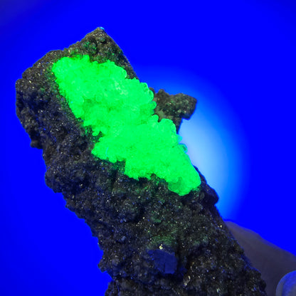 Schorl Tourmaline, Hyalite Opal, Muscovite, Orthoclase Erongo, Namibia 56*27*19mm #12383
