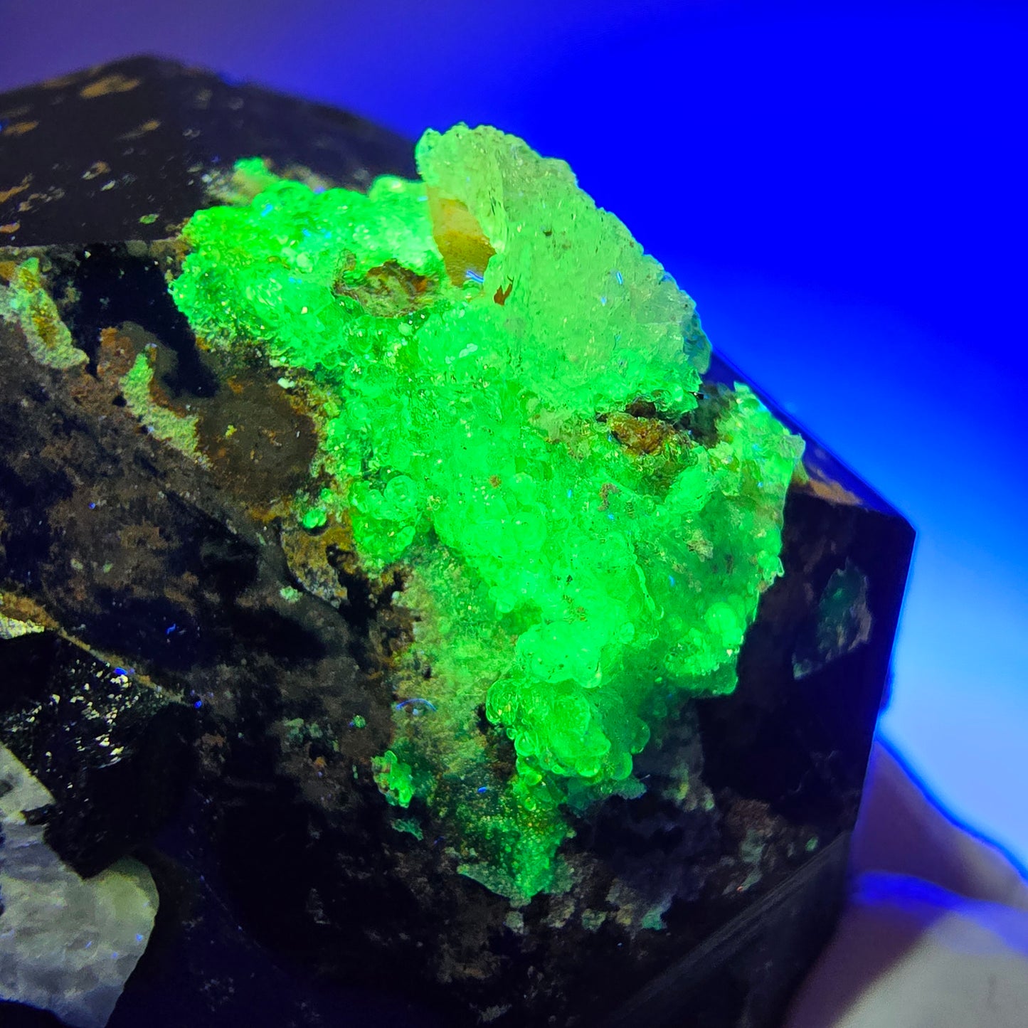 Tourmaline Schorl rare, Opale Hyalite, Orthose Erongo, Namibie 71*43*32mm #12386