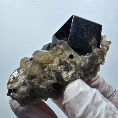 Seltene Schörl Turmalin, Rauchquarz Erongo, Namibia 59*37*37mm #12388