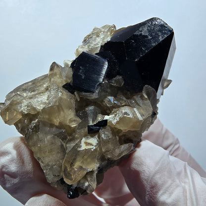 Seltene Schörl Turmalin, Rauchquarz Erongo, Namibia 59*37*37mm #12388