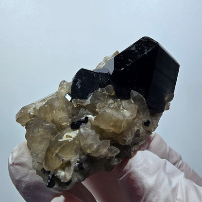 Seltene Schörl Turmalin, Rauchquarz Erongo, Namibia 59*37*37mm #12388