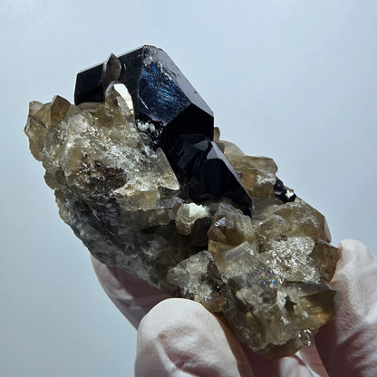 Seltene Schörl Turmalin, Rauchquarz Erongo, Namibia 59*37*37mm #12388