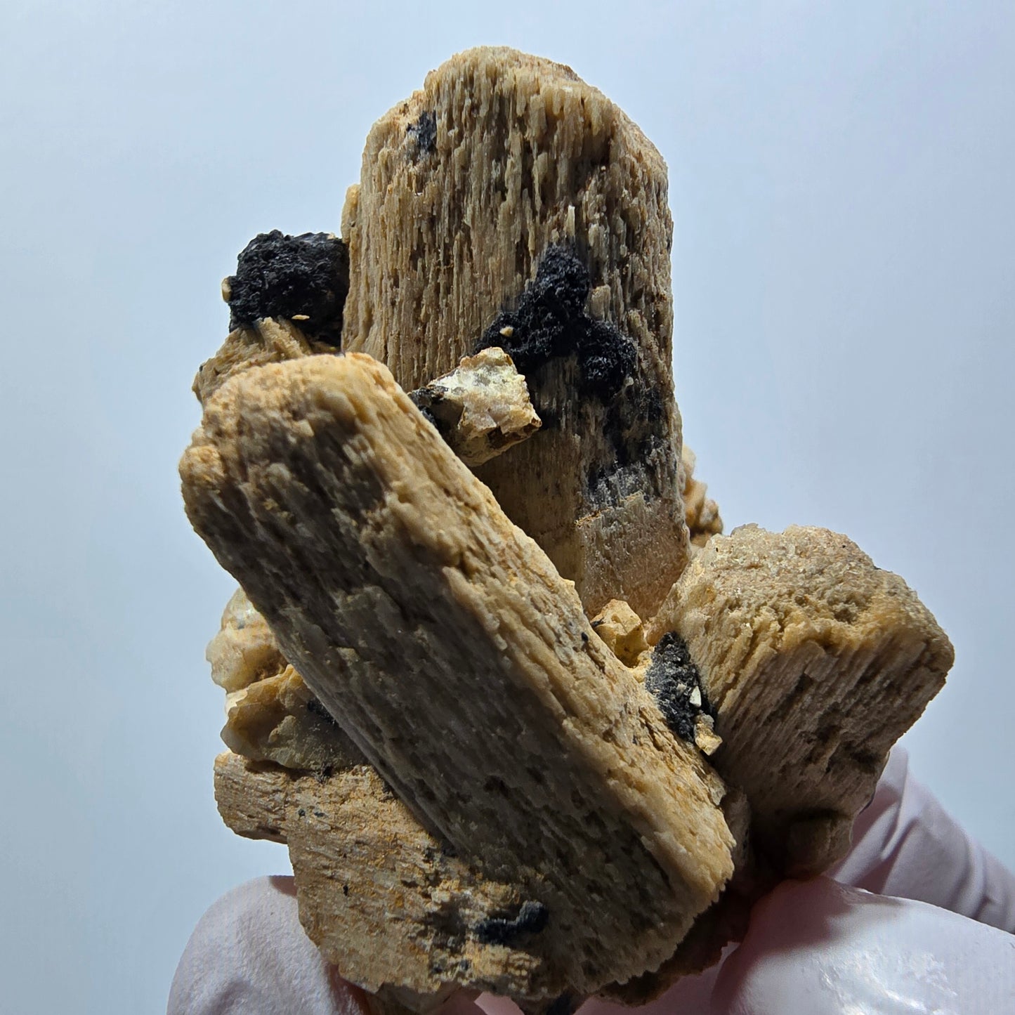 Rare Schorl Tourmaline, Orthoclase Specimen Erongo, Namibia 50*40*35mm #12400