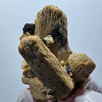 Rare Schorl Tourmaline, Orthoclase Specimen Erongo, Namibia 50*40*35mm #12400