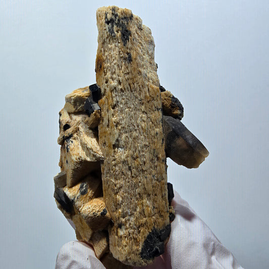 Seltene Schörl Turmalin, Rauchquarz, Orthoklas Stufe Erongo, Namibia 78*43*32mm #12407