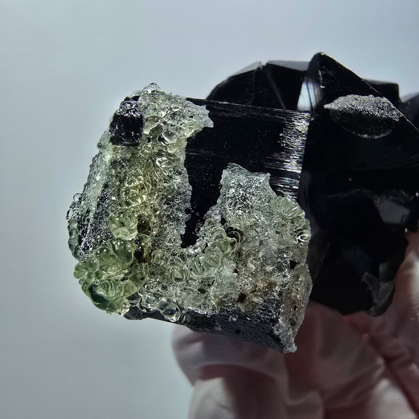 Tourmaline Schorl rare, opale hyalite sur gangue Erongo, Namibie 67*35*26mm #12417