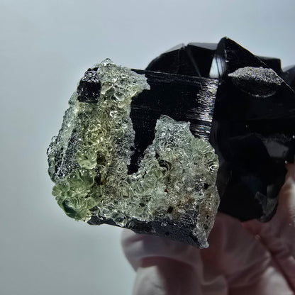 Tourmaline Schorl rare, opale hyalite sur gangue Erongo, Namibie 67*35*26mm #12417
