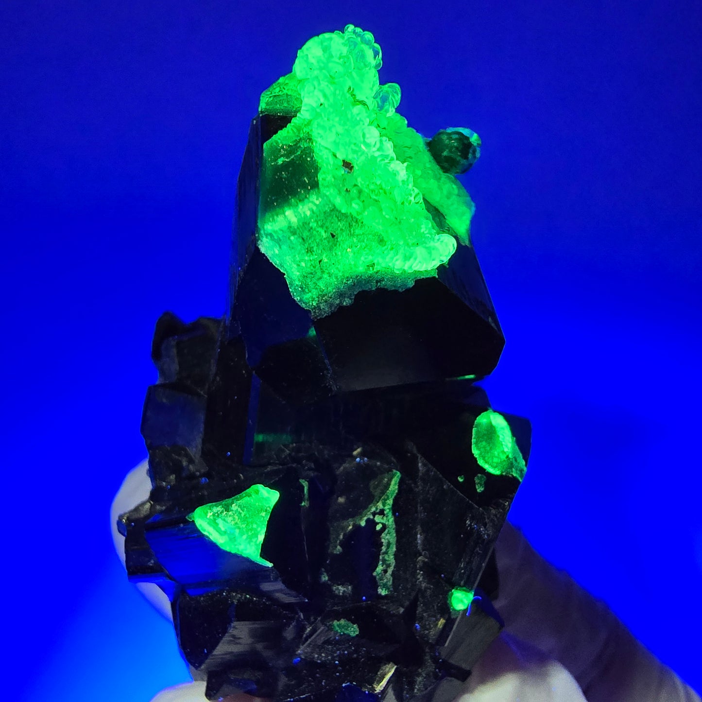 Tourmaline Schorl rare, opale hyalite sur gangue Erongo, Namibie 67*35*26mm #12417