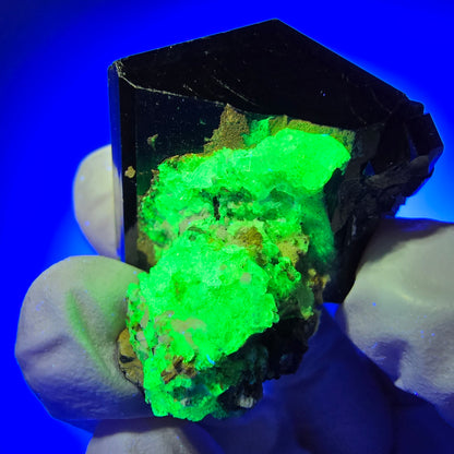 Rare Schorl Tourmaline, Hyalite Opal Specimen Erongo, Namibia 52*30*24mm #12424