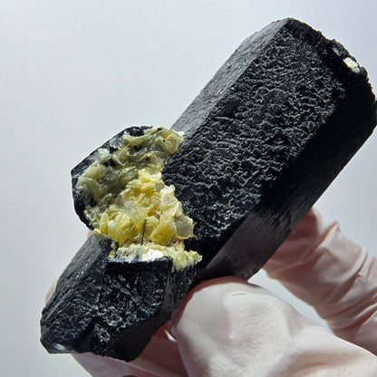 Rare Schorl Tourmaline Muscovite Specimen Erongo, Namibia 63*40*36mm #12427