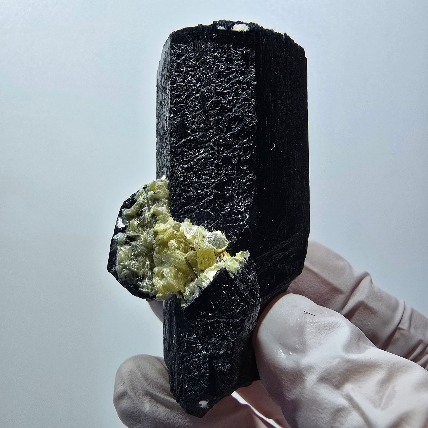 Rare Schorl Tourmaline Muscovite Specimen Erongo, Namibia 63*40*36mm #12427