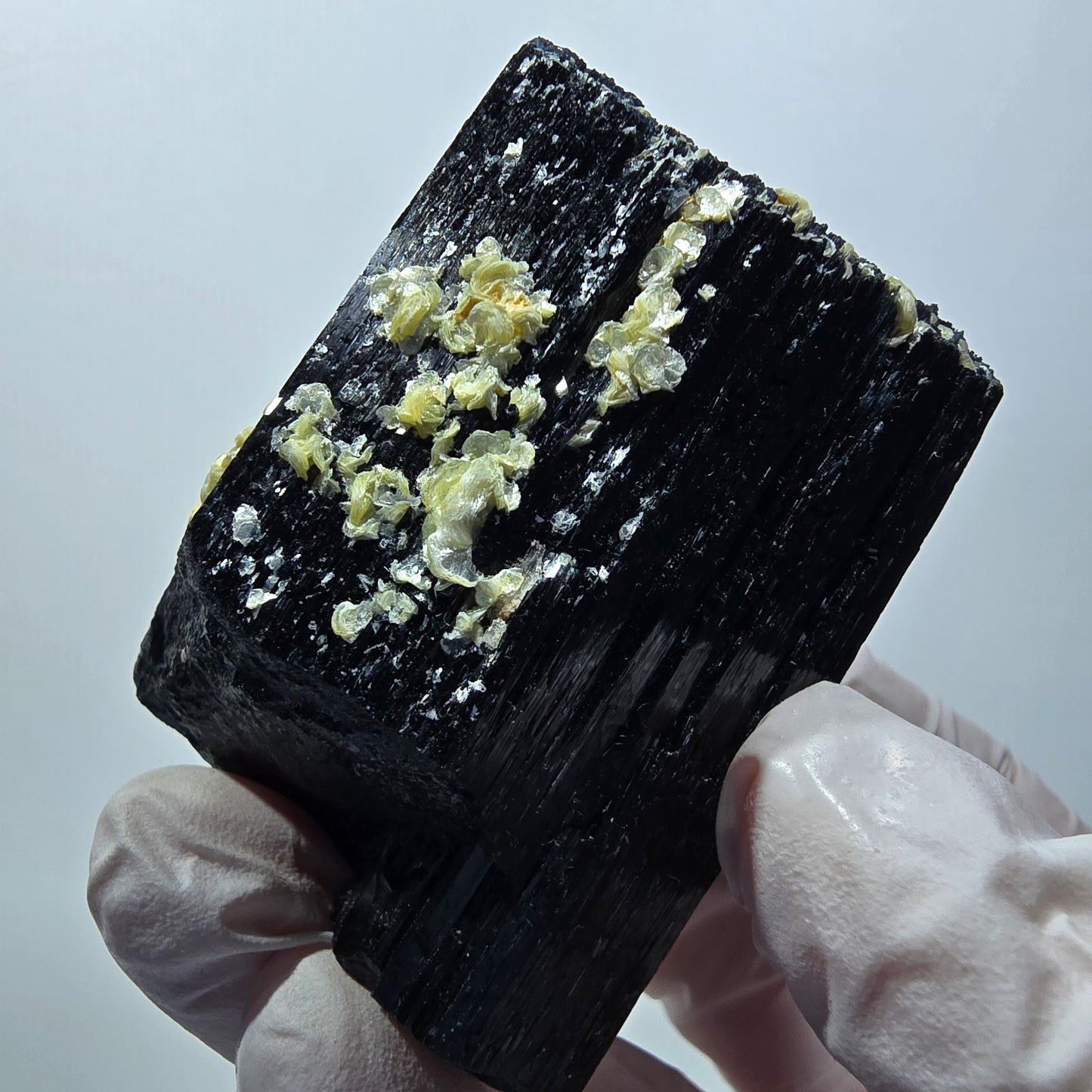 Rare Schorl Tourmaline Muscovite Specimen Erongo, Namibia 55*40*39mm #12429