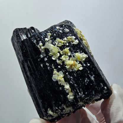 Rare Schorl Tourmaline Muscovite Specimen Erongo, Namibia 55*40*39mm #12429