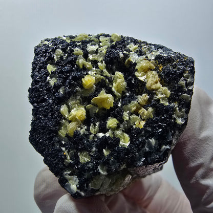 Rare Schorl Tourmaline Muscovite Specimen Erongo, Namibia 55*40*39mm #12429