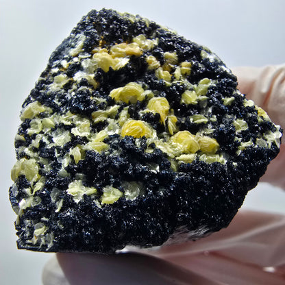 Rare Schorl Tourmaline Muscovite Specimen Erongo, Namibia 55*40*39mm #12429