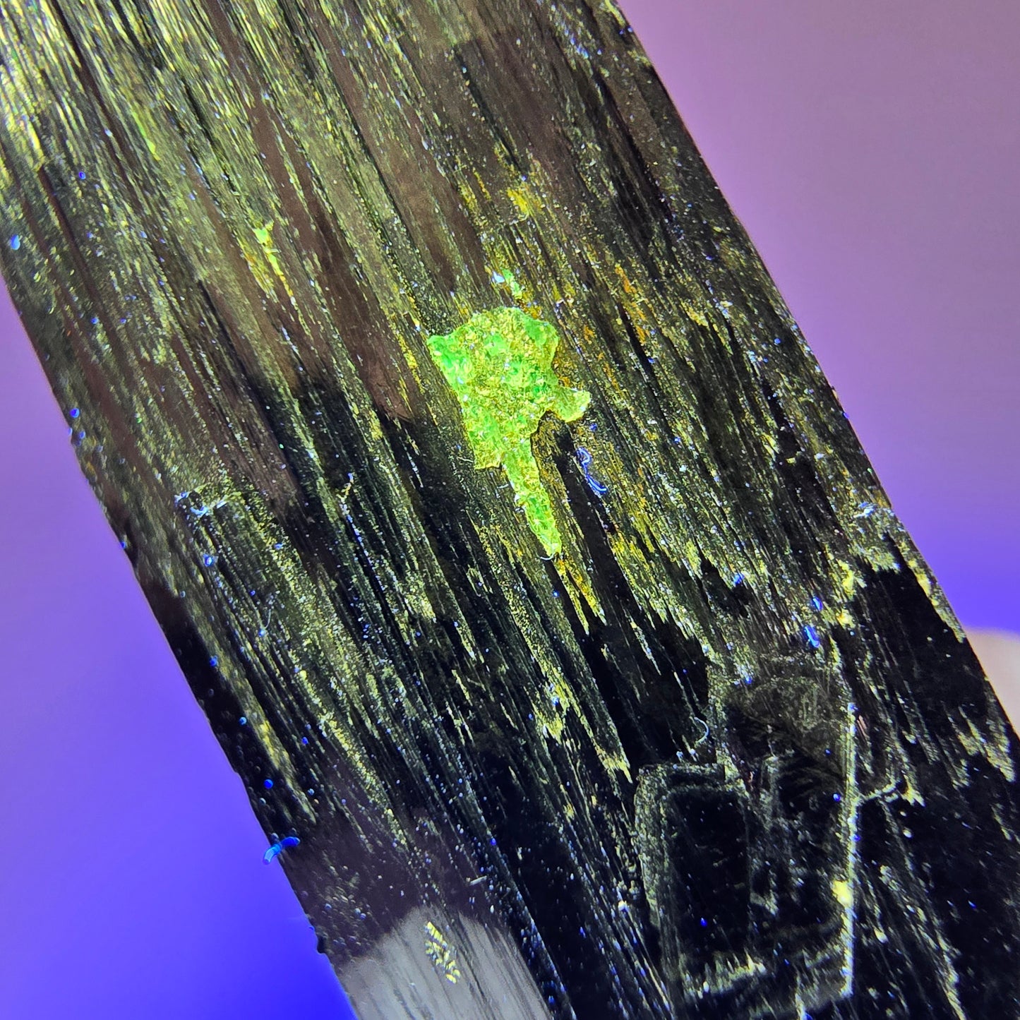 Tourmaline Schorl rare avec Opale Hyalite Erongo, Namibie 52*20*20mm #12443