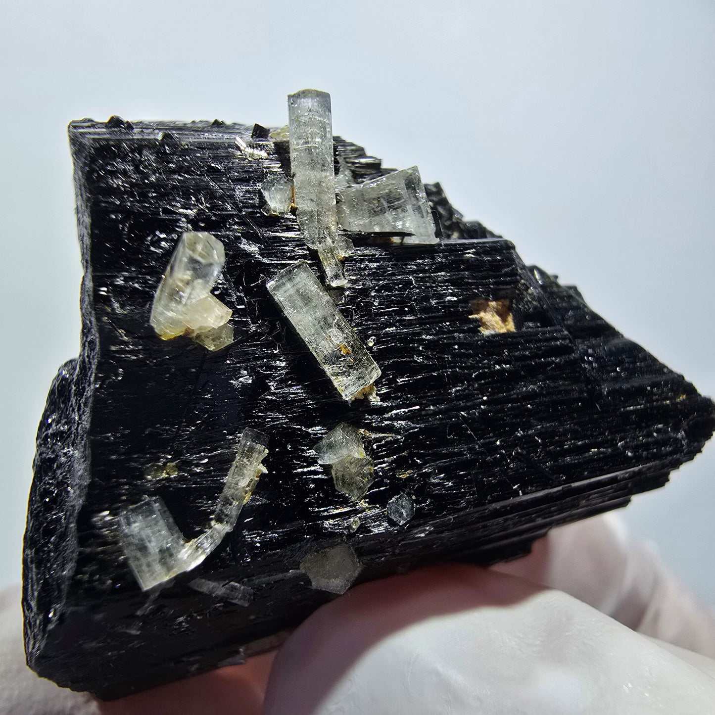 Rare Schorl Tourmaline, Goshenite (Beryl) Specimen Erongo, Namibia 41*31*23mm #12444