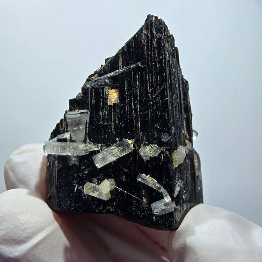 Rare Schorl Tourmaline, Goshenite (Beryl) Specimen Erongo, Namibia 41*31*23mm #12444