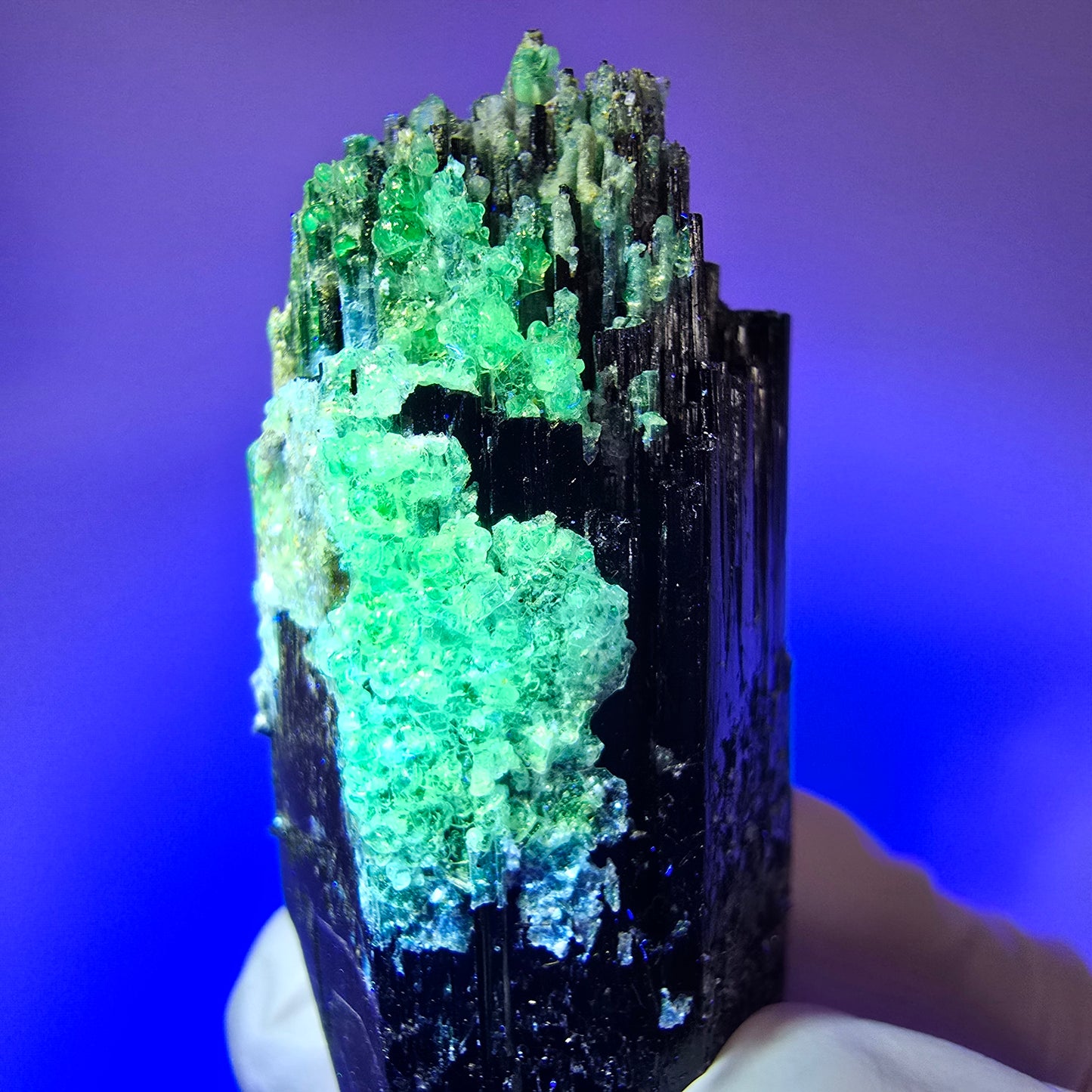 Seltener Schörl Turmalin mit Hyalit Opal, Rauchquarz Erongo, Namibia 52*25*19mm #12445
