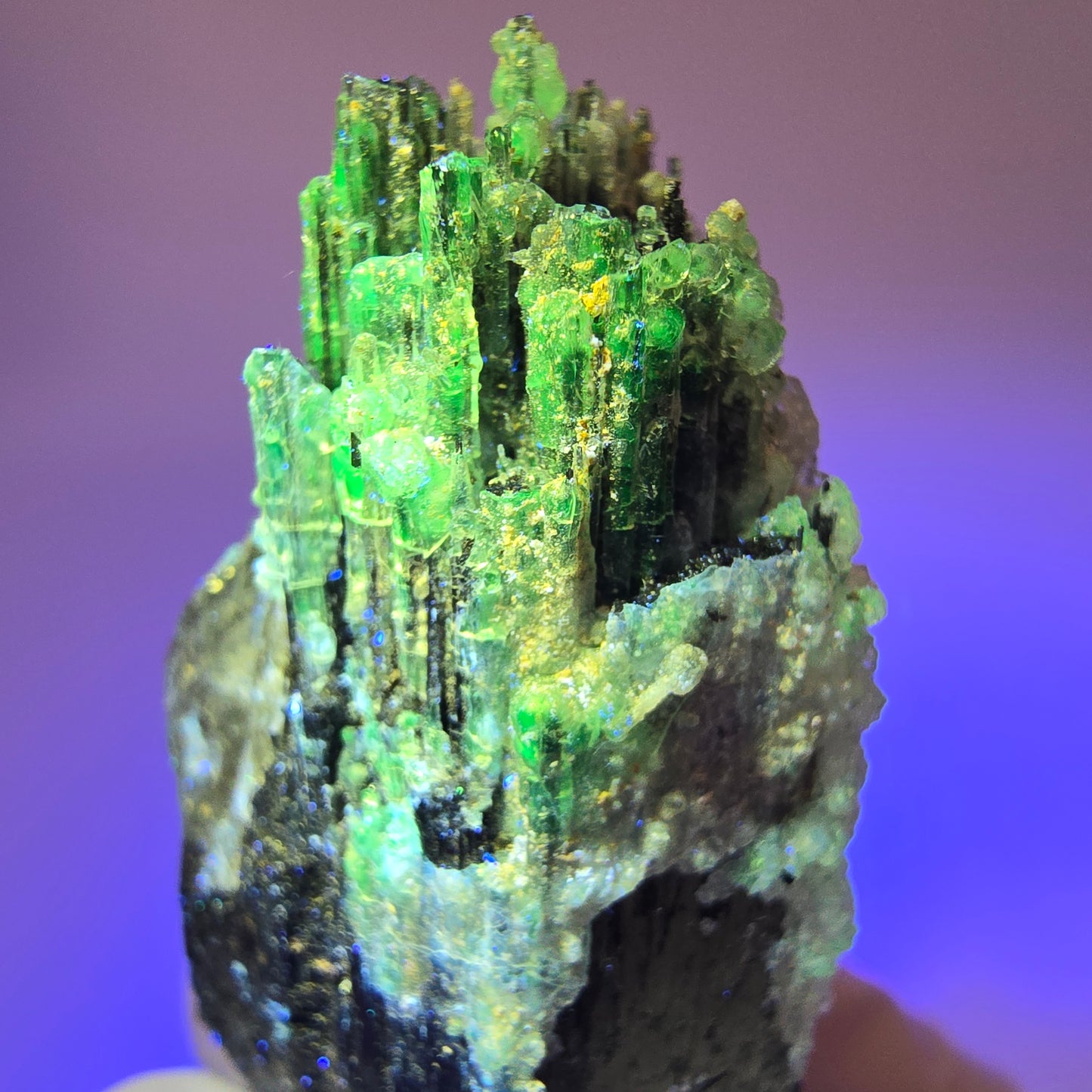 Seltener Schörl Turmalin mit Hyalit Opal, Rauchquarz Erongo, Namibia 52*25*19mm #12445