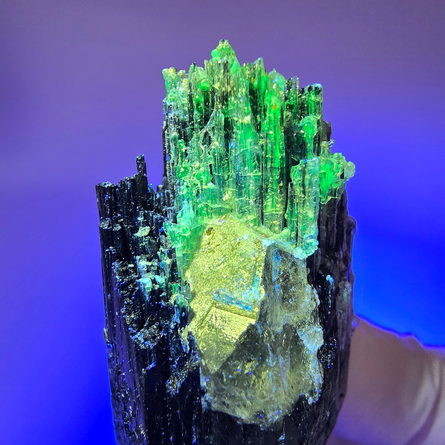 Seltener Schörl Turmalin mit Hyalit Opal, Rauchquarz Erongo, Namibia 52*25*19mm #12445