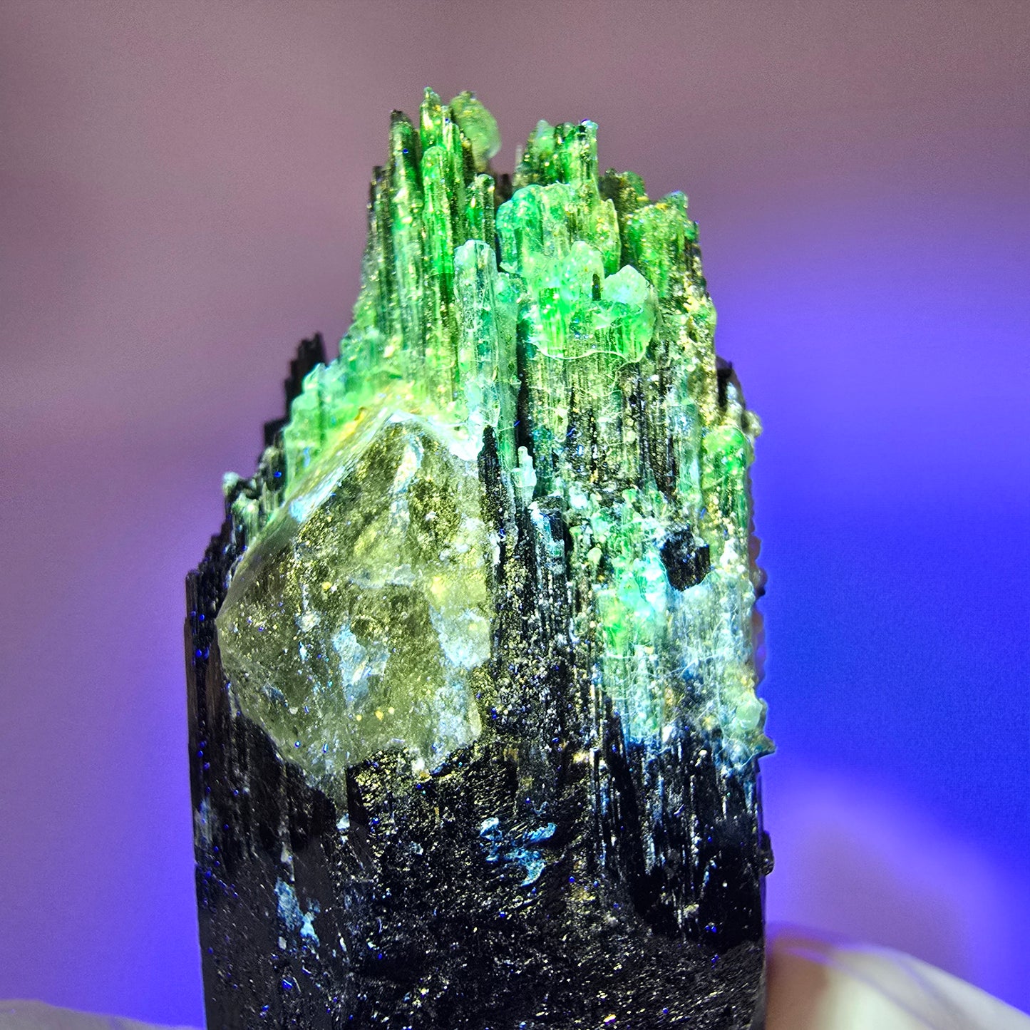 Seltener Schörl Turmalin mit Hyalit Opal, Rauchquarz Erongo, Namibia 52*25*19mm #12445