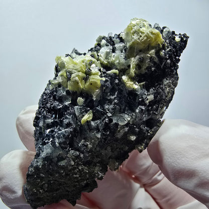 Seltene Schörl Turmalin, Rauchquarz, Muskovit Stufe Erongo, Namibia 61*37*24mm #12450