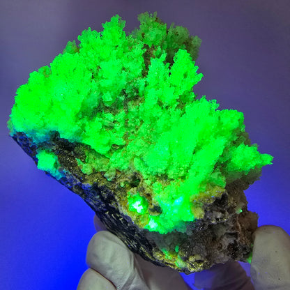 Hyalit Opal, Muskovit, Orthoklas, Schörl Turmalin Stufe Erongo, Namibia 83*56*53mm #12467