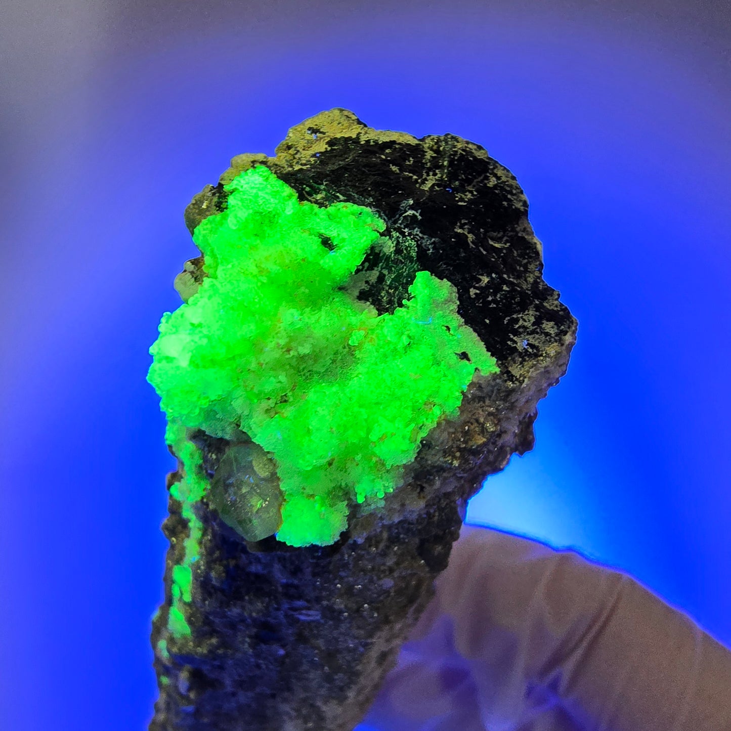 Large Schorl Tourmaline, Hyalite Opal, Muscovite Specimen Erongo, Namibia 102*32*29mm #12473