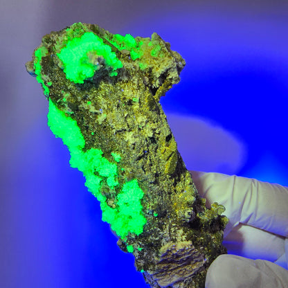 Große Schörl Turmalin, Hyalit Opal, Muskovit Stufe Erongo, Namibia 119*46*42mm #12477