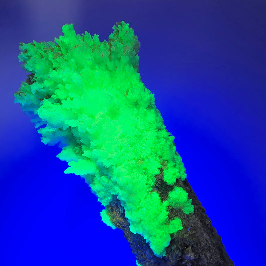 Große Schörl Turmalin, Hyalit Opal, Muskovit Stufe Erongo, Namibia 149*53*41mm #12478