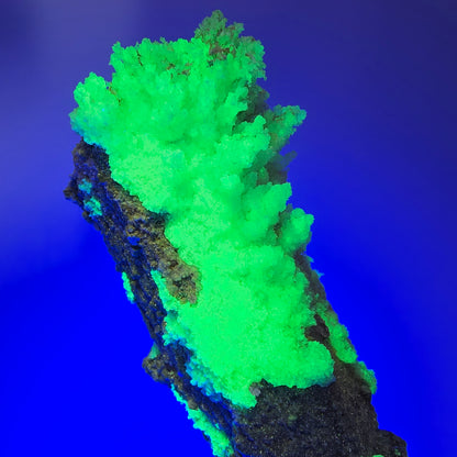 Large Schorl Tourmaline, Hyalite Opal, Muscovite Specimen Erongo, Namibia 149*53*41mm #12478