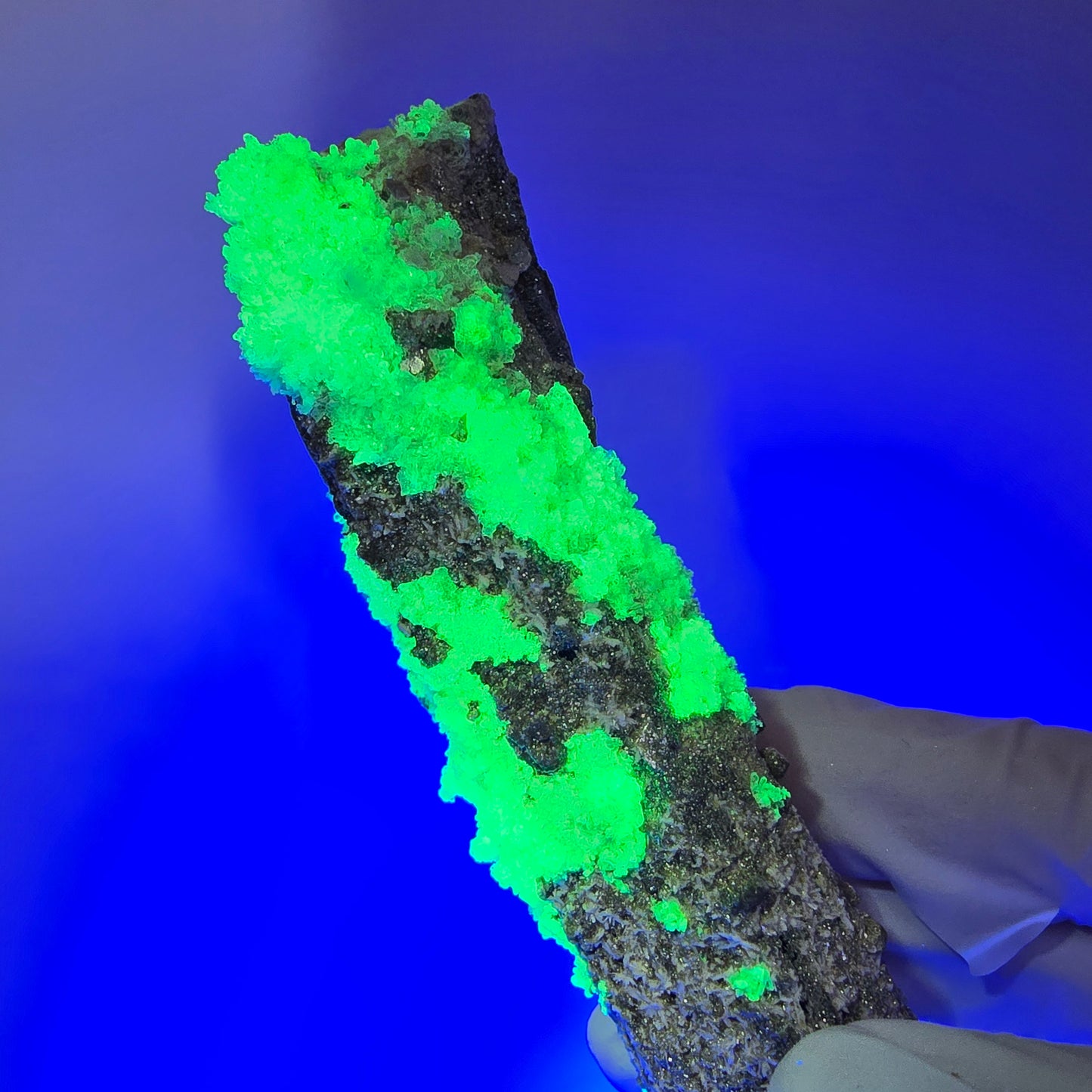Large Schorl Tourmaline, Hyalite Opal, Muscovite Specimen Erongo, Namibia 116*41*32mm #12481