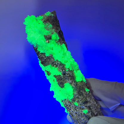 Large Schorl Tourmaline, Hyalite Opal, Muscovite Specimen Erongo, Namibia 116*41*32mm #12481