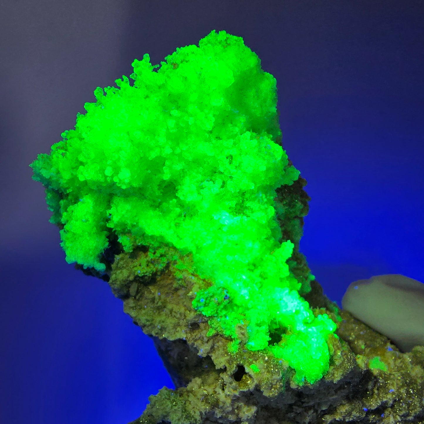 Große Schörl Turmalin, Hyalit Opal, Muskovit Stufe Erongo, Namibia 132*57*54mm #12483