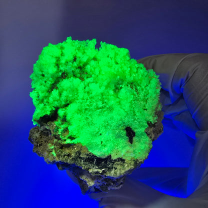 Große Schörl Turmalin, Hyalit Opal, Muskovit Stufe Erongo, Namibia 132*57*54mm #12483