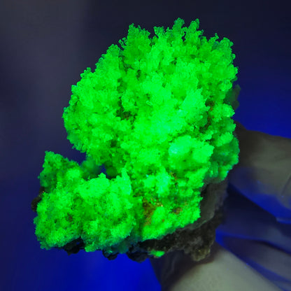 Seltene Schörl Turmalin, Hyalit Opal, Muskovit Stufe Erongo, Namibia 71*45*31mm #12485