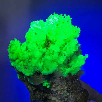 Seltene Schörl Turmalin, Hyalit Opal, Muskovit Stufe Erongo, Namibia 71*45*31mm #12485