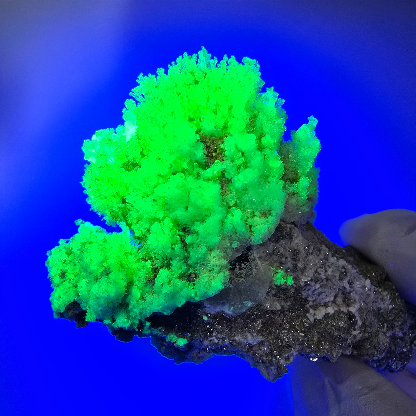 Seltene Schörl Turmalin, Hyalit Opal, Muskovit Stufe Erongo, Namibia 71*45*31mm #12485